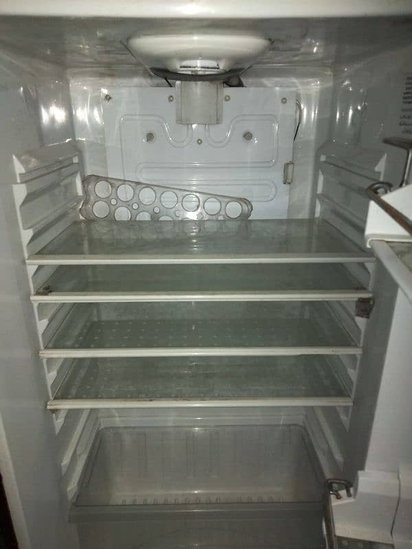 waves fridge mediam size 4