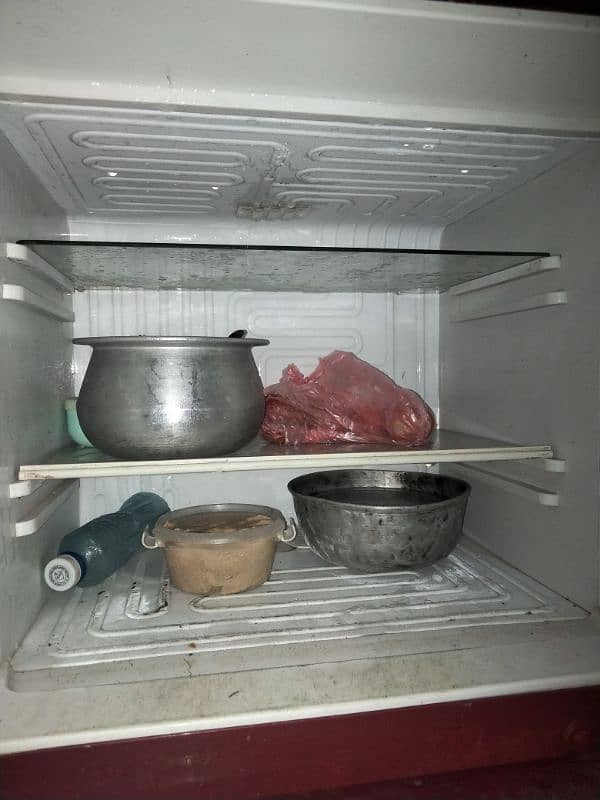 waves fridge mediam size 5