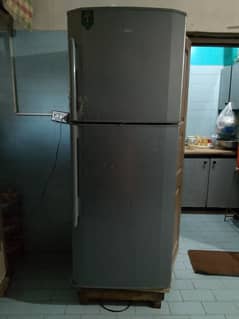 fridge