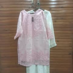 Soft Pink Embroidered Organza 2-Piece Dress – Elegant & Unworn
