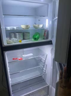 haier full size fridge