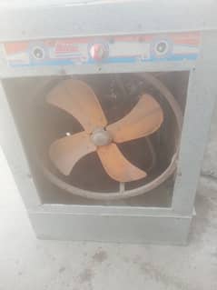 12v