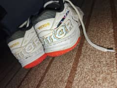 Badminton