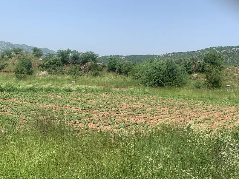Agricultural Land For Sale In Attock, Punjab, Pakistan 1