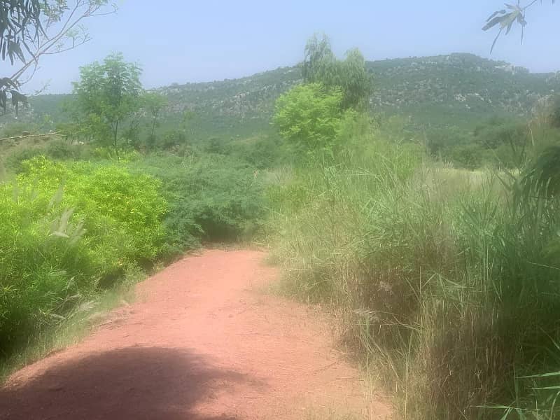 Agricultural Land For Sale In Attock, Punjab, Pakistan 2