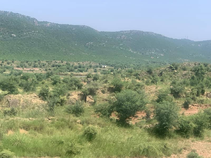 Agricultural Land For Sale In Attock, Punjab, Pakistan 5