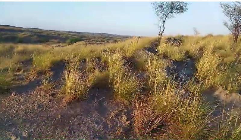 Agricultural Land For Sale In Attock, Punjab, Pakistan 9
