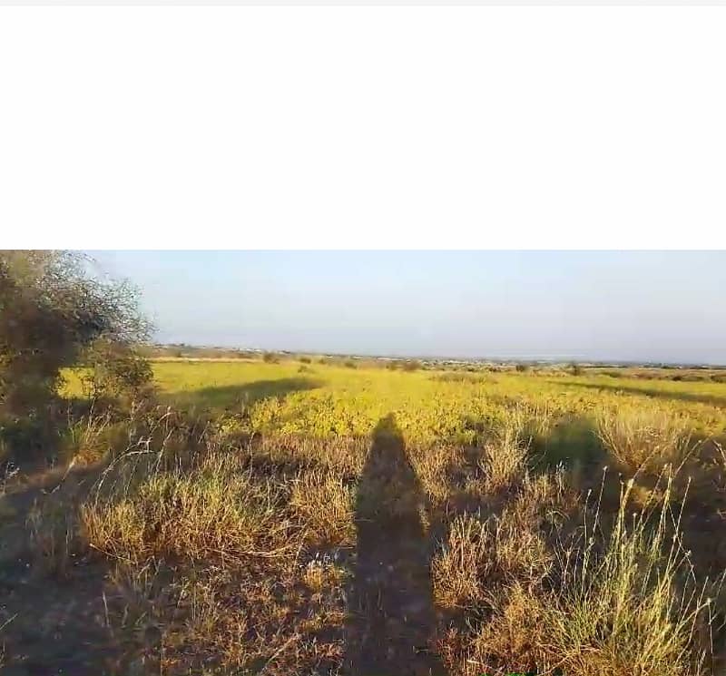 Agricultural Land For Sale In Attock, Punjab, Pakistan 12