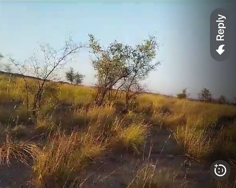 Agricultural Land For Sale In Attock, Punjab, Pakistan 14