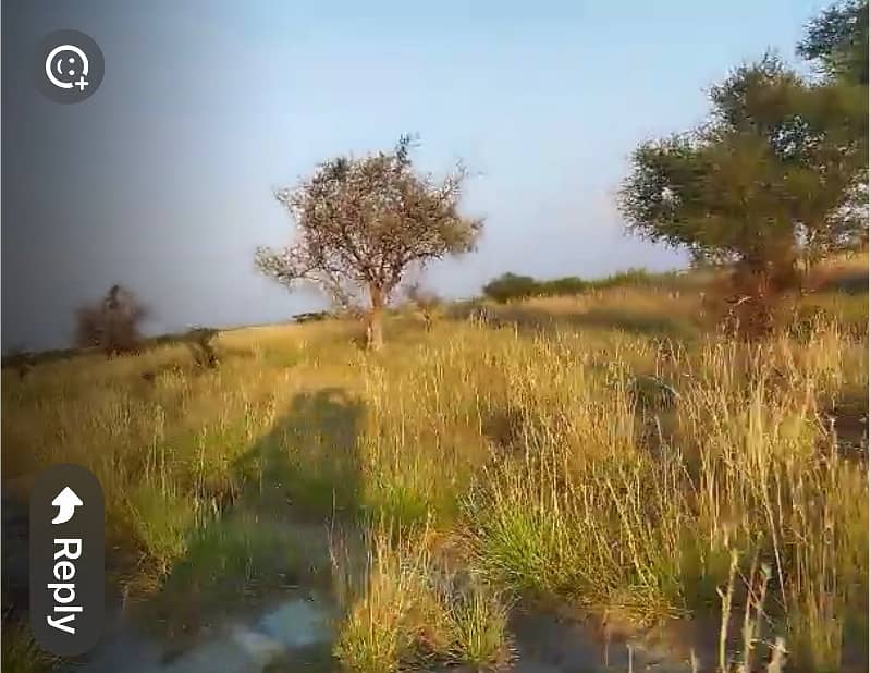 Agricultural Land For Sale In Attock, Punjab, Pakistan 15