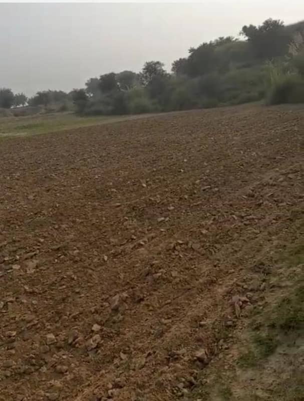 Agricultural Land For Sale In Attock, Punjab, Pakistan 16