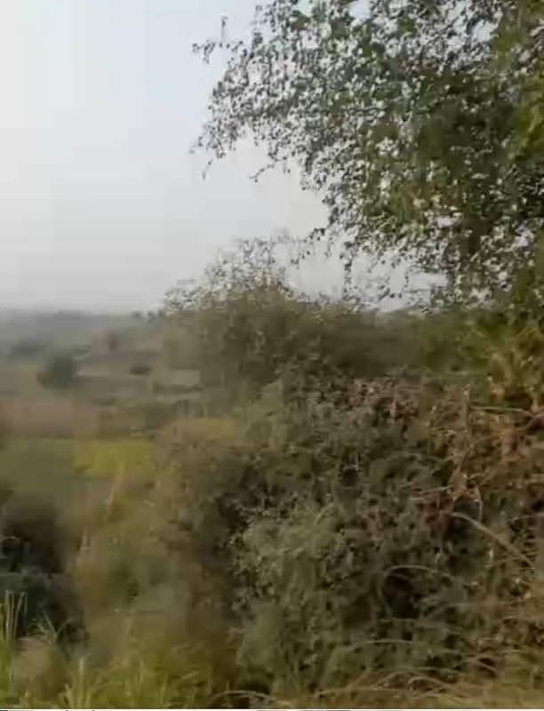 Agricultural Land For Sale In Attock, Punjab, Pakistan 19