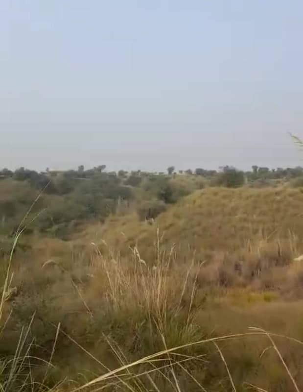 Agricultural Land For Sale In Attock, Punjab, Pakistan 20