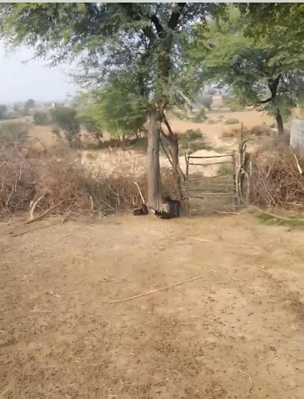 Agricultural Land For Sale In Attock, Punjab, Pakistan 27