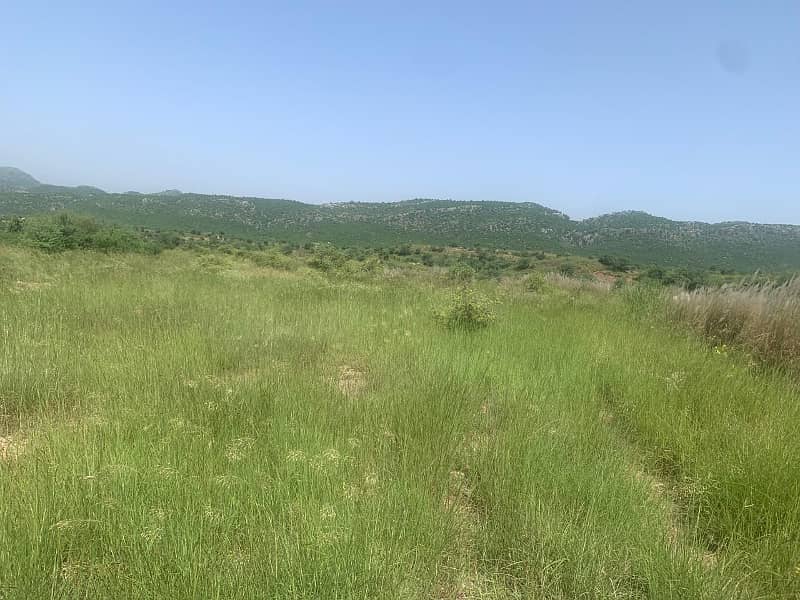 Agricultural Land For Sale In Attock, Punjab, Pakistan 35