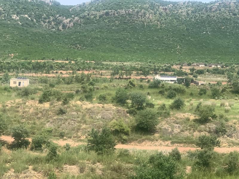 Agricultural Land For Sale In Attock, Punjab, Pakistan 36