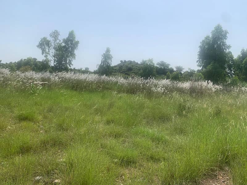 Agricultural Land For Sale In Attock, Punjab, Pakistan 37