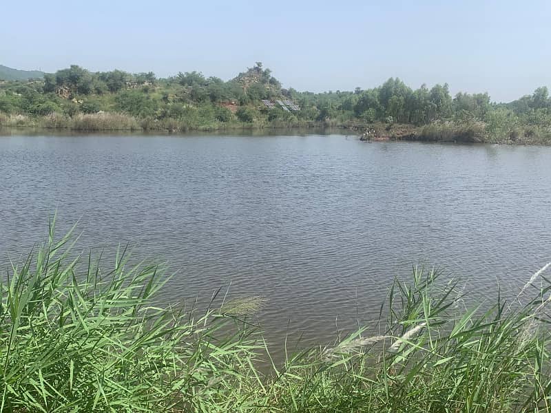Agricultural Land For Sale In Attock, Punjab, Pakistan 38