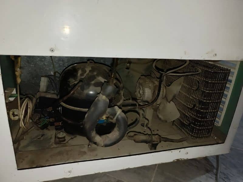 Pel Double Door Deep Freezer 5