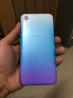 y1s