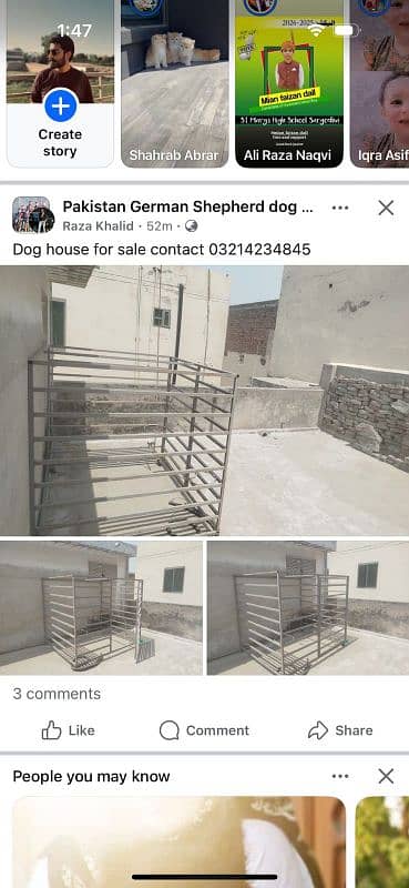 dog house 2