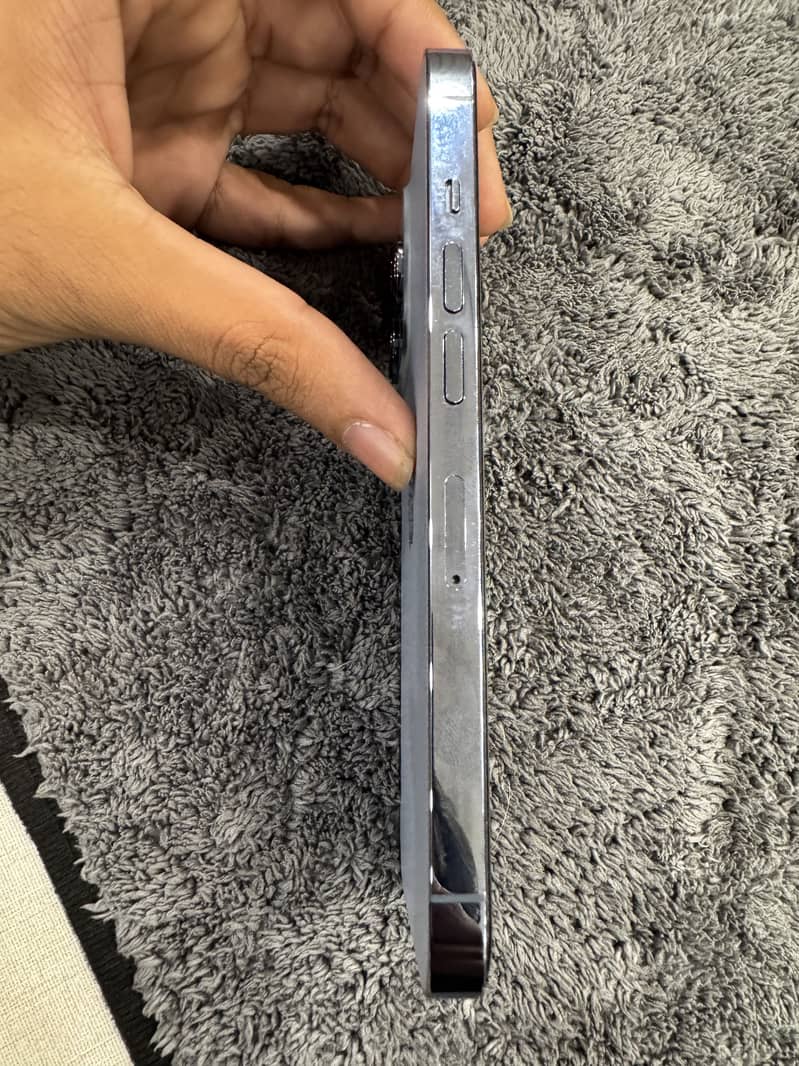 13 pro  256 gb factory unlock 1