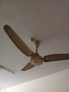 fan celling