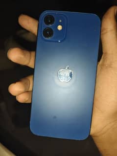 iPhone 12 10/10 condition