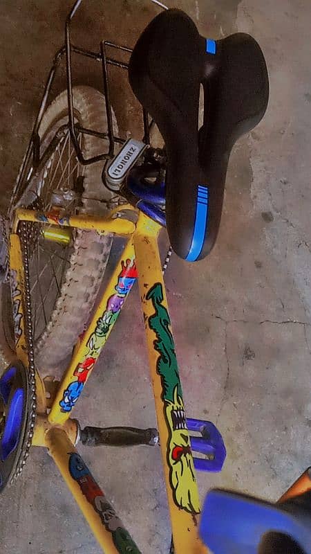 phoenix cycle 0