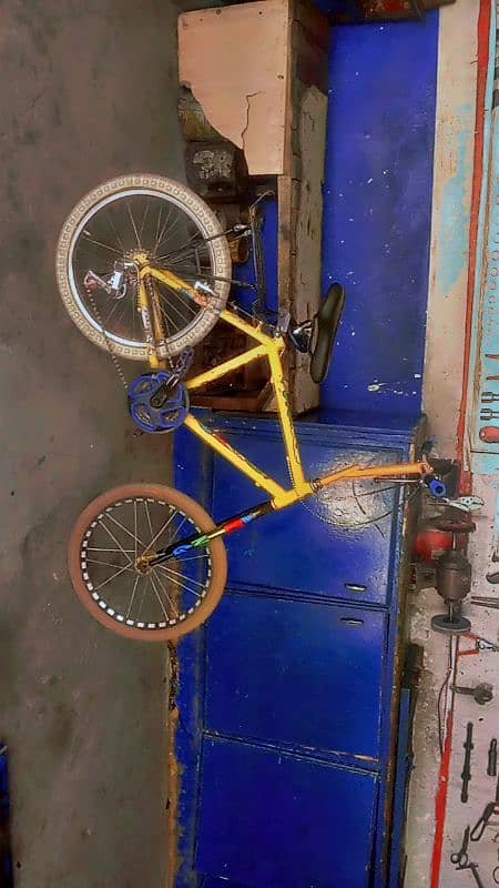 phoenix cycle 2