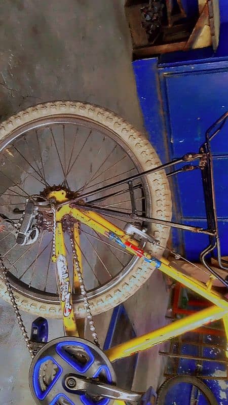 phoenix cycle 3