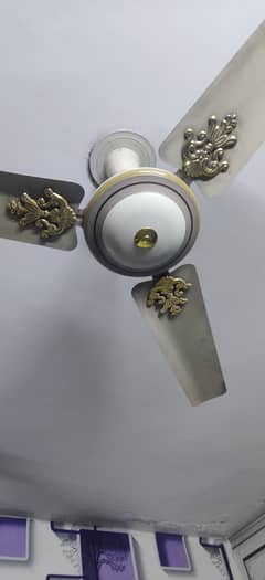 5 ceiling fans