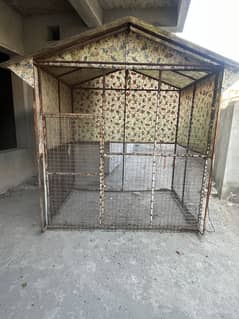 big pingra for sell