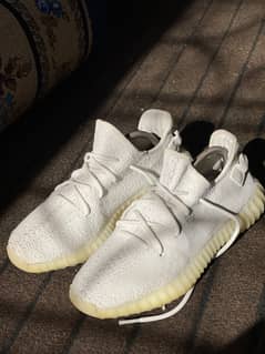 Adidas Yeezy sneakers