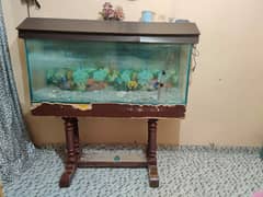Aquarium