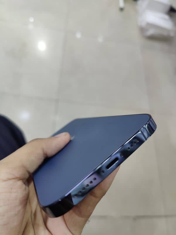 12 pro max 2