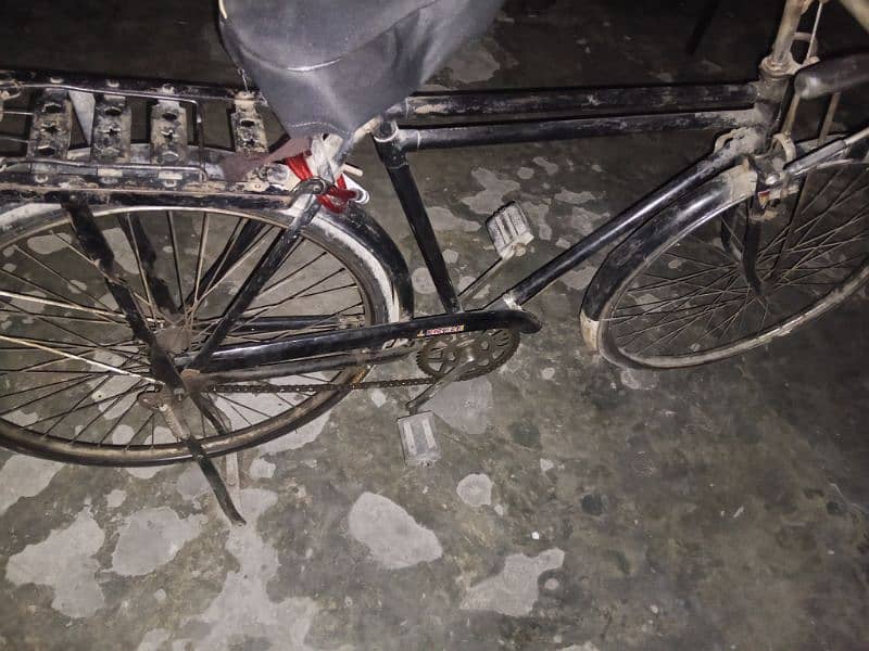 sohrab cycle 24 inch 1