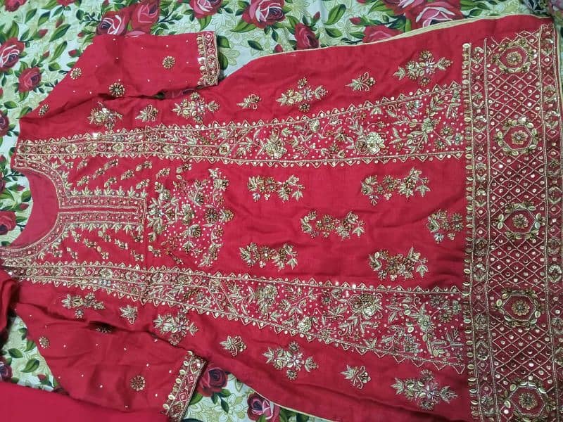 Embroidered dress 2