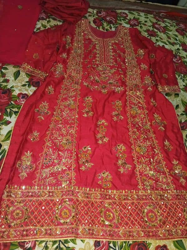 Embroidered dress 5