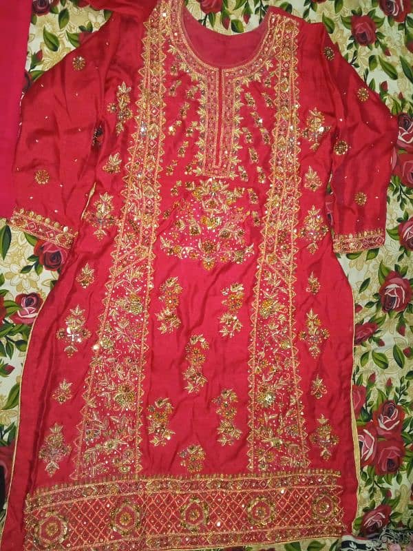 Embroidered dress 6