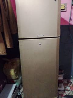 PEL