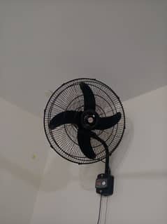 Wall-mounted