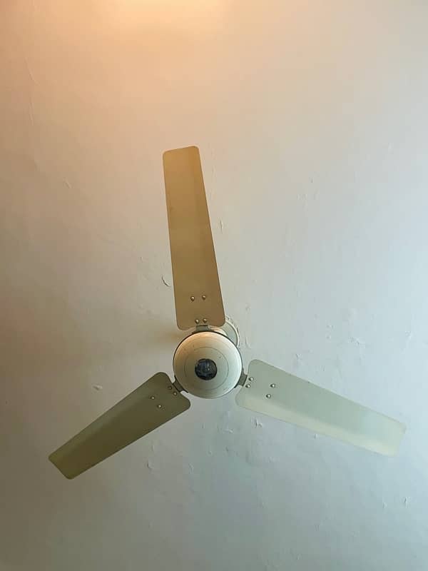 Royal fan for sale 0