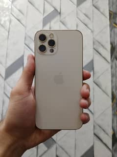 iphone 12 pro gold 128gb pta approved