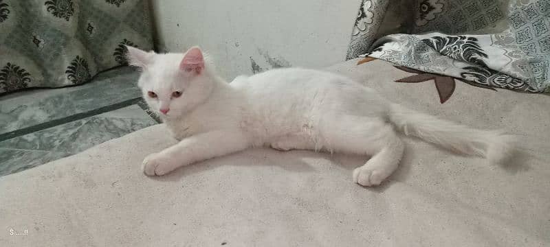 3 month olds 0