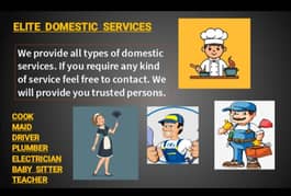 WE PROVIDE DOMESTIC SERVICES
