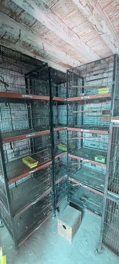5 portion 9 portion colony cage 0306 8519194