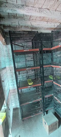 5 portion 9 portion colony cage 0306 8519194