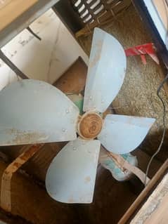 colar fan