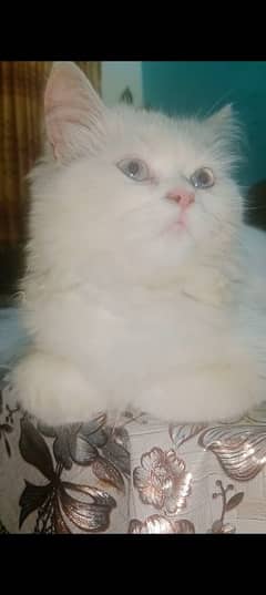 name